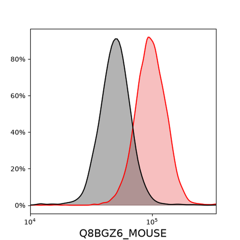 Ankyron Q8BGZ6_MOUSE Clone DC40908