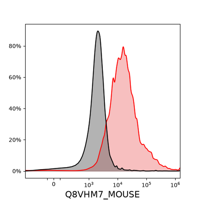 Ankyron Q8VHM7_MOUSE Clone CY40389