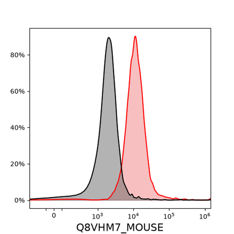 Ankyron Q8VHM7_MOUSE Clone CY40395