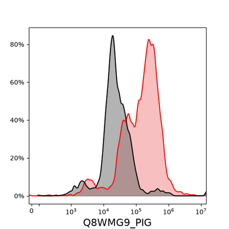 Ankyron Q8WMG9_PIG Clone DI40457