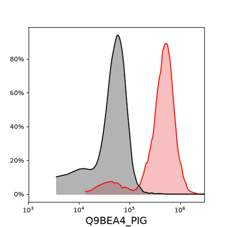 Ankyron Q9BEA4_PIG Clone DG40131
