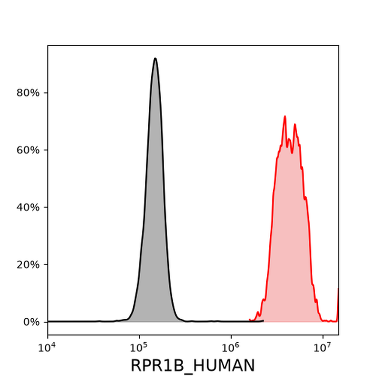 Ankyron RPR1B_HUMAN Clone AT30105