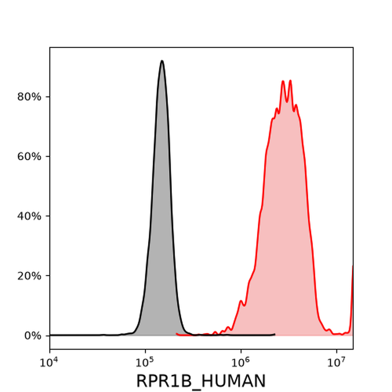 Ankyron RPR1B_HUMAN Clone AT30106