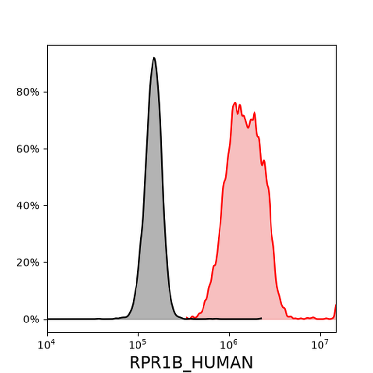 Ankyron RPR1B_HUMAN Clone AT30107