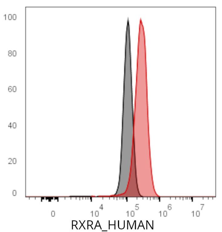 Ankyron RXRA_HUMAN Clone CK30704
