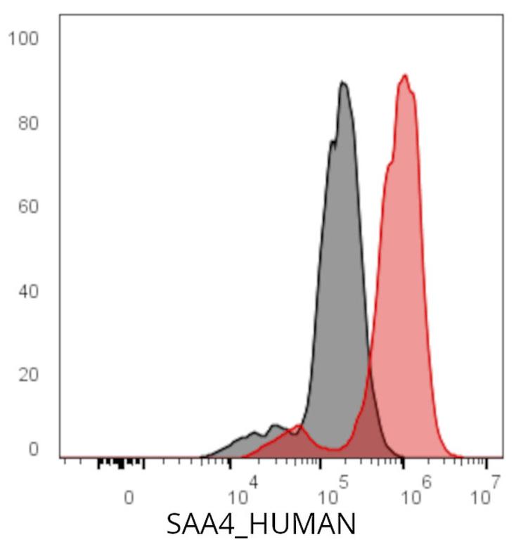 Ankyron SAA4_HUMAN Clone DC40336