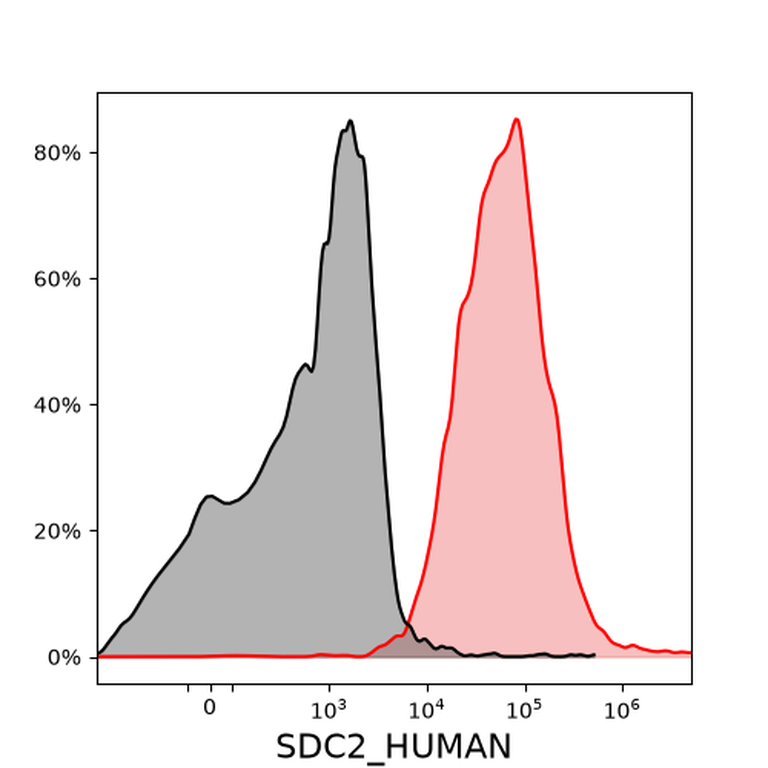 Ankyron SDC2_HUMAN Clone DI40624