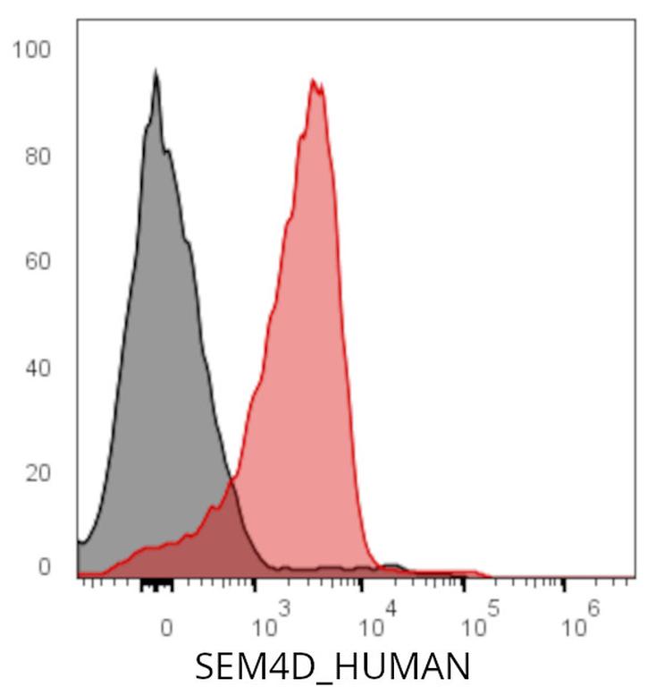 Ankyron SEM4D_HUMAN Clone DC40964