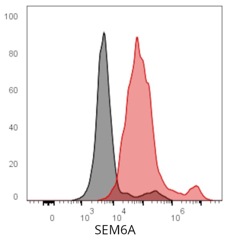 Ankyron SEM6A_HUMAN Clone AZ40550