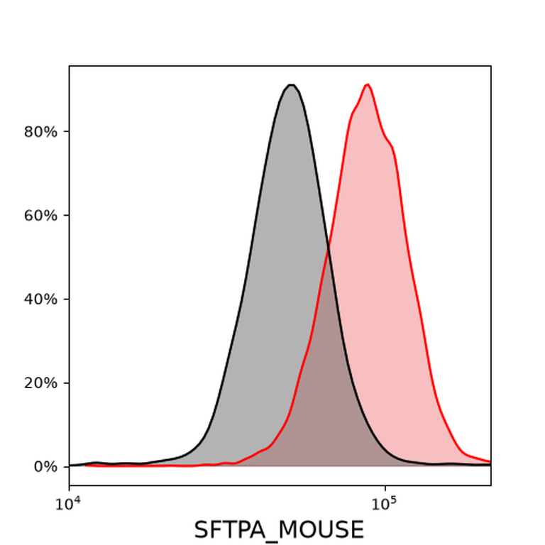 Ankyron SFTPA_MOUSE Clone CA30169