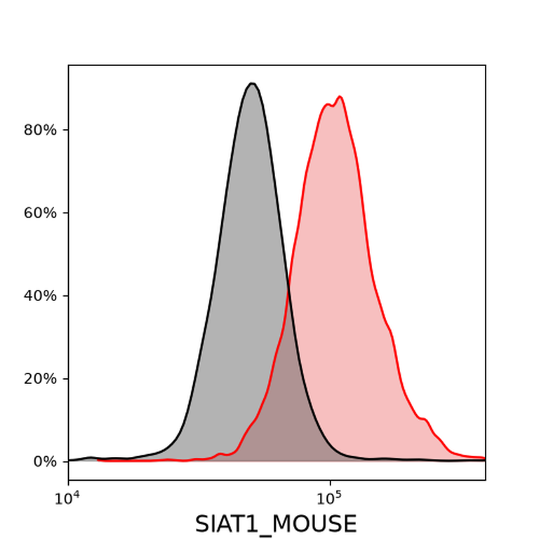 Ankyron SIAT1_MOUSE Clone DC40869