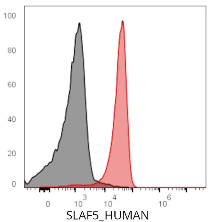 Ankyron SLAF5_HUMAN Clone AN40111