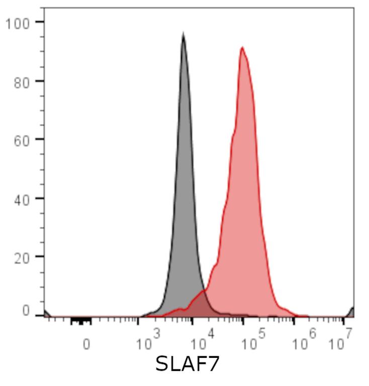 Ankyron SLAF7_HUMAN Clone BS41082