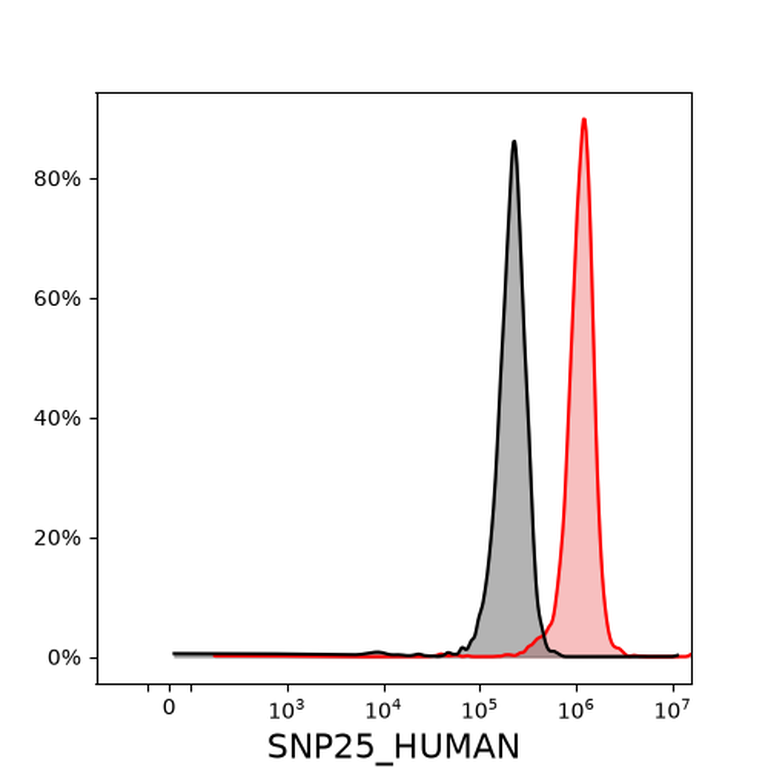 Ankyron SNP25_HUMAN Clone CI30351