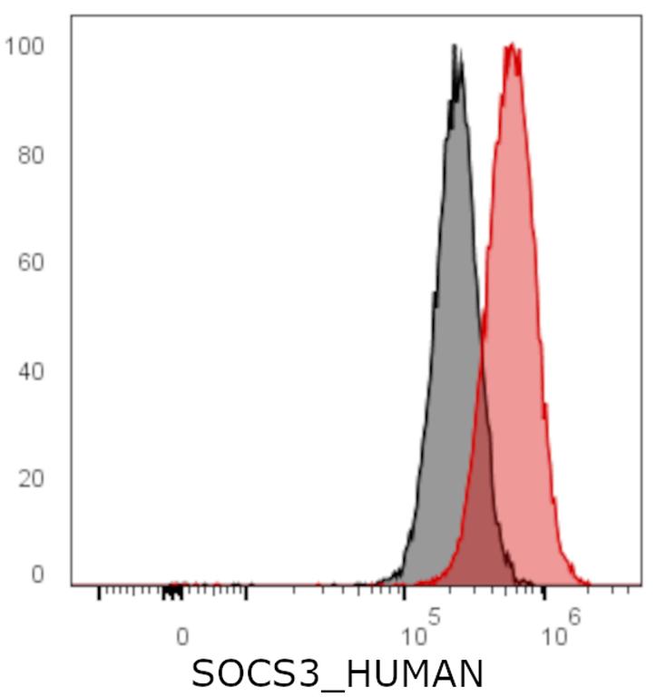 Ankyron SOCS3_HUMAN Clone DB40293