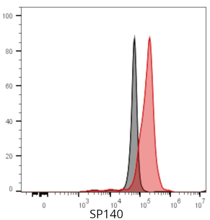 Ankyron SP140_HUMAN Clone DV40680