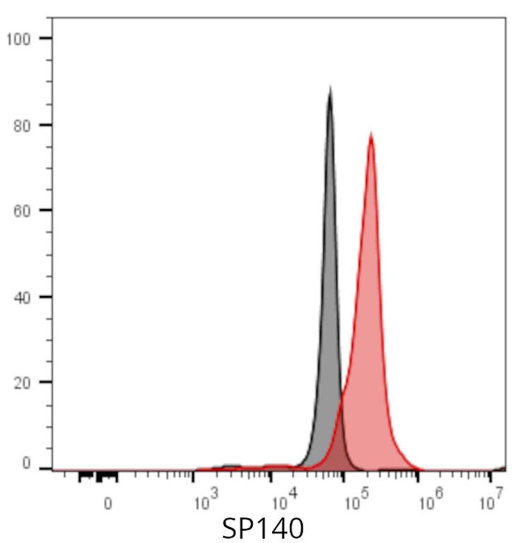 Ankyron SP140_HUMAN Clone DV40796