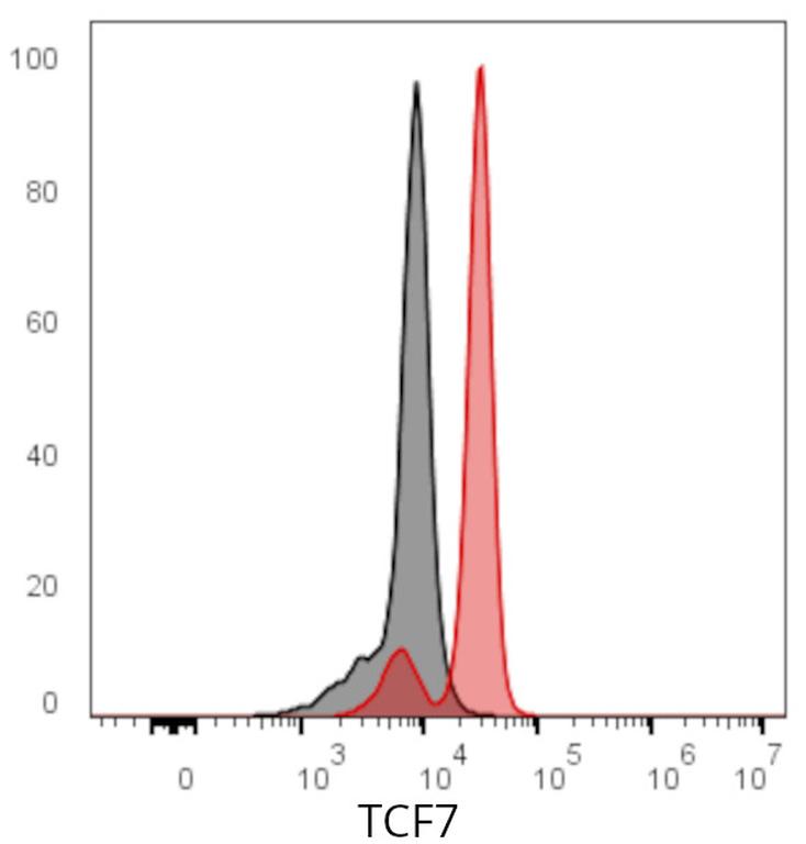 Ankyron TCF7_HUMAN Clone CD30334
