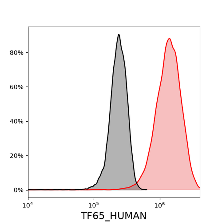 Ankyron TF65_HUMAN Clone BS40502