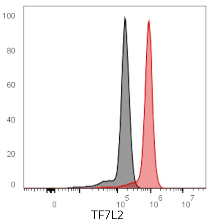Ankyron TF7L2_HUMAN Clone CK30145