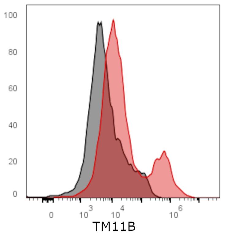 Ankyron TM11B_HUMAN Clone CI30336