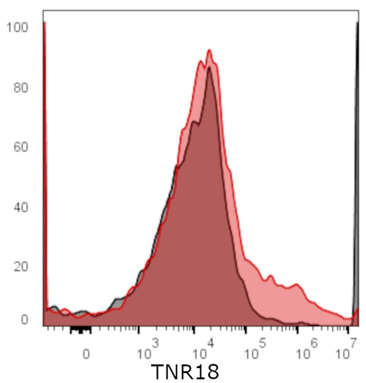Ankyron TNR18_HUMAN Clone BT40337