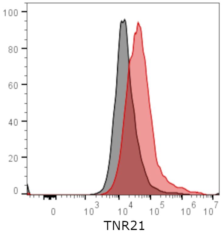 Ankyron TNR21_MOUSE Clone AU41184