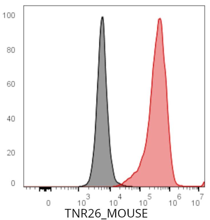 Ankyron TNR26_MOUSE Clone AY40224