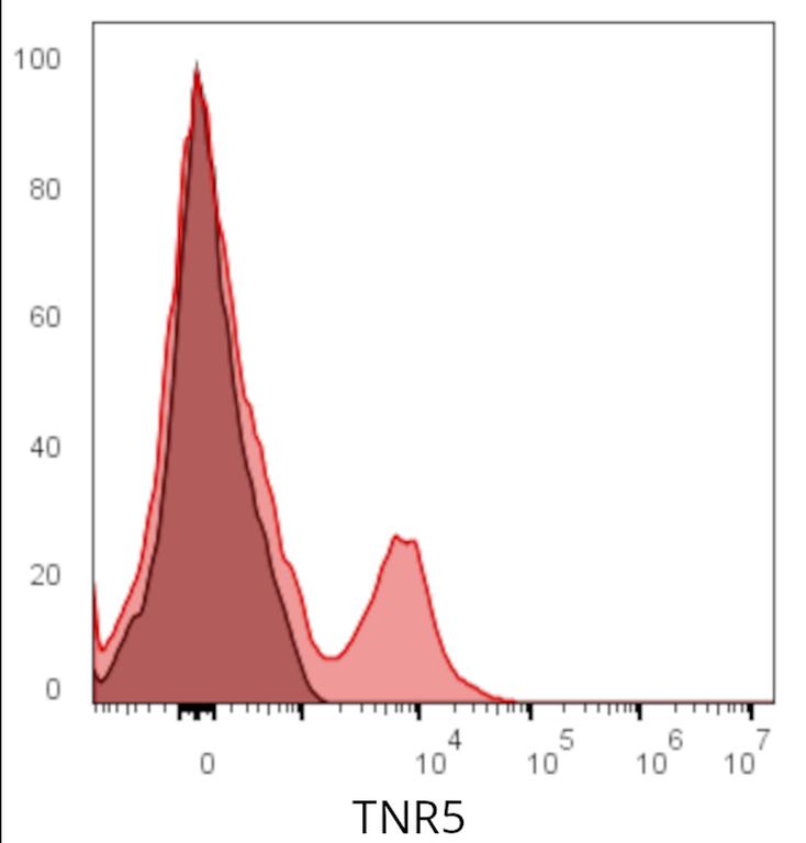 Ankyron TNR5_HUMAN Clone AT30271