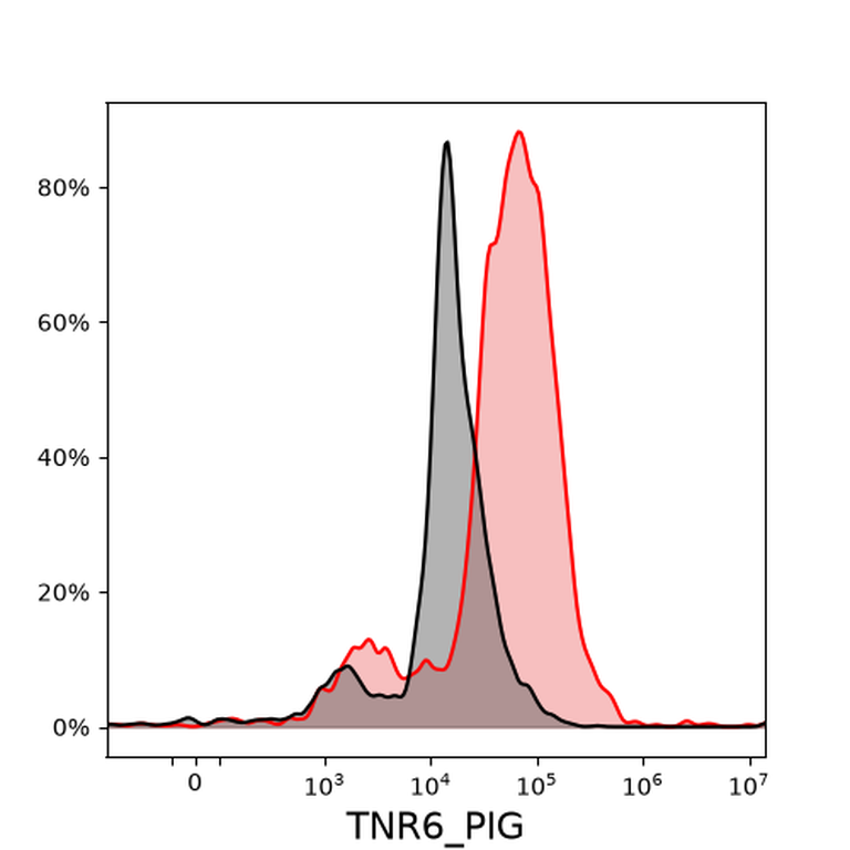 Ankyron TNR6_PIG Clone DU30103