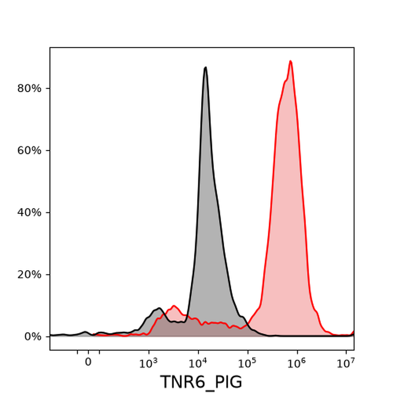 Ankyron TNR6_PIG Clone DU30104