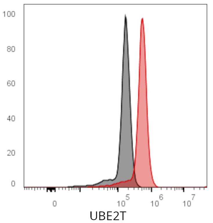 Ankyron UBE2T_HUMAN Clone DQ40286