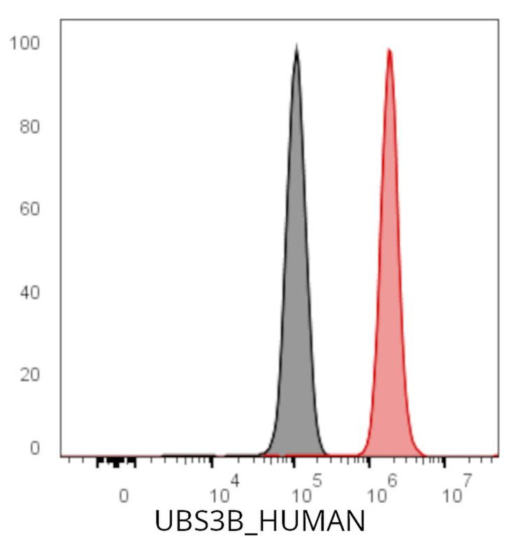 Ankyron UBS3B_HUMAN Clone CS30366