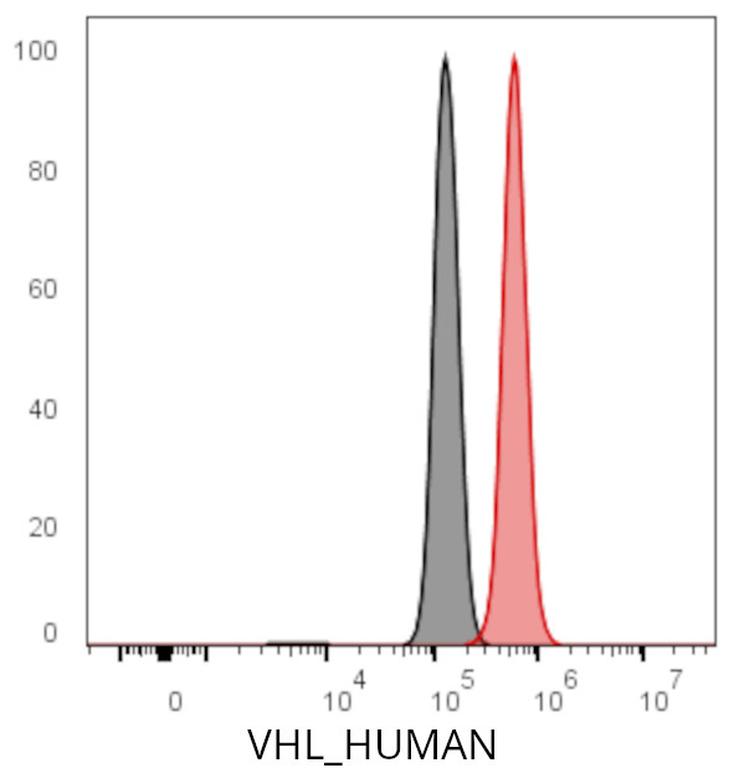 Ankyron VHL_HUMAN Clone DJ40956