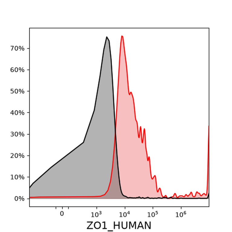 Ankyron ZO1_HUMAN Clone EL30323
